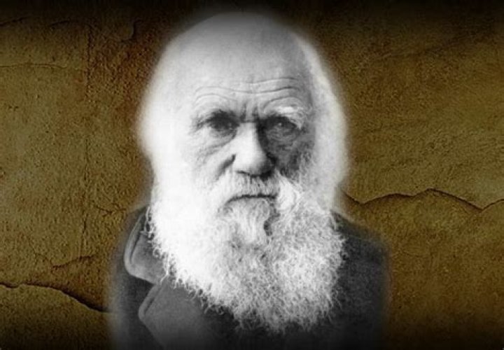 Charles Lombahe-Kahudi