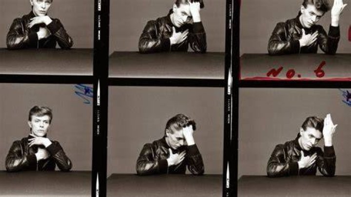 David Singer-Vine