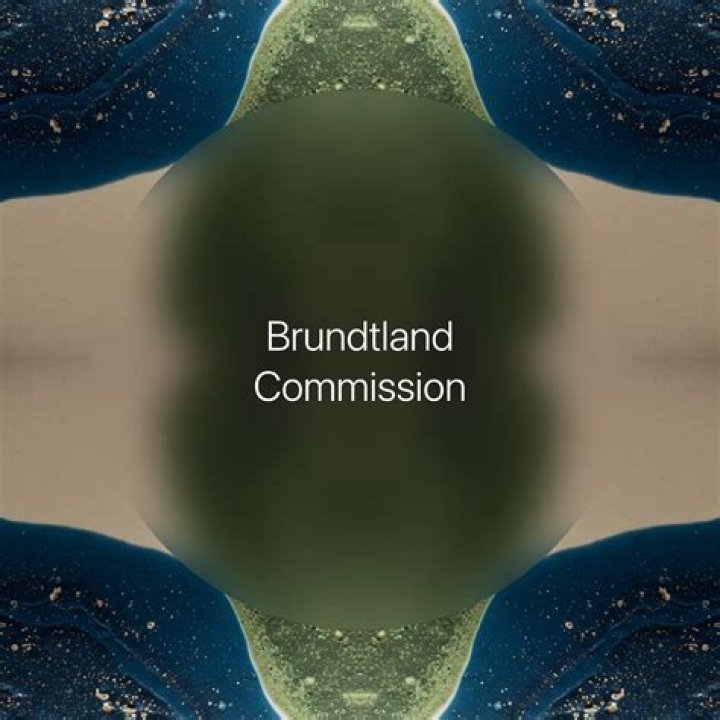 Torbj&oslash;rn Brundtland